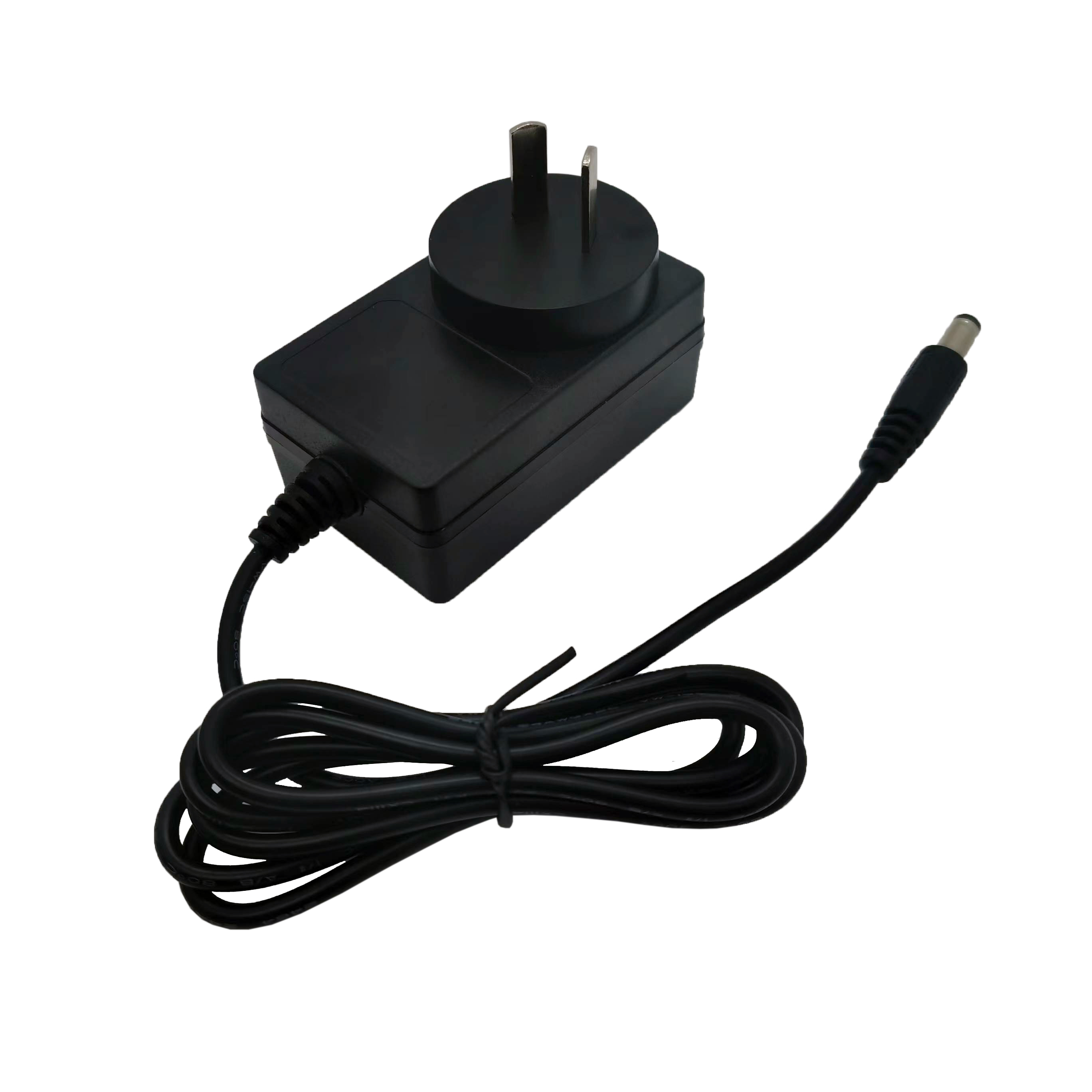 Adaptador de potencia de 12V2A